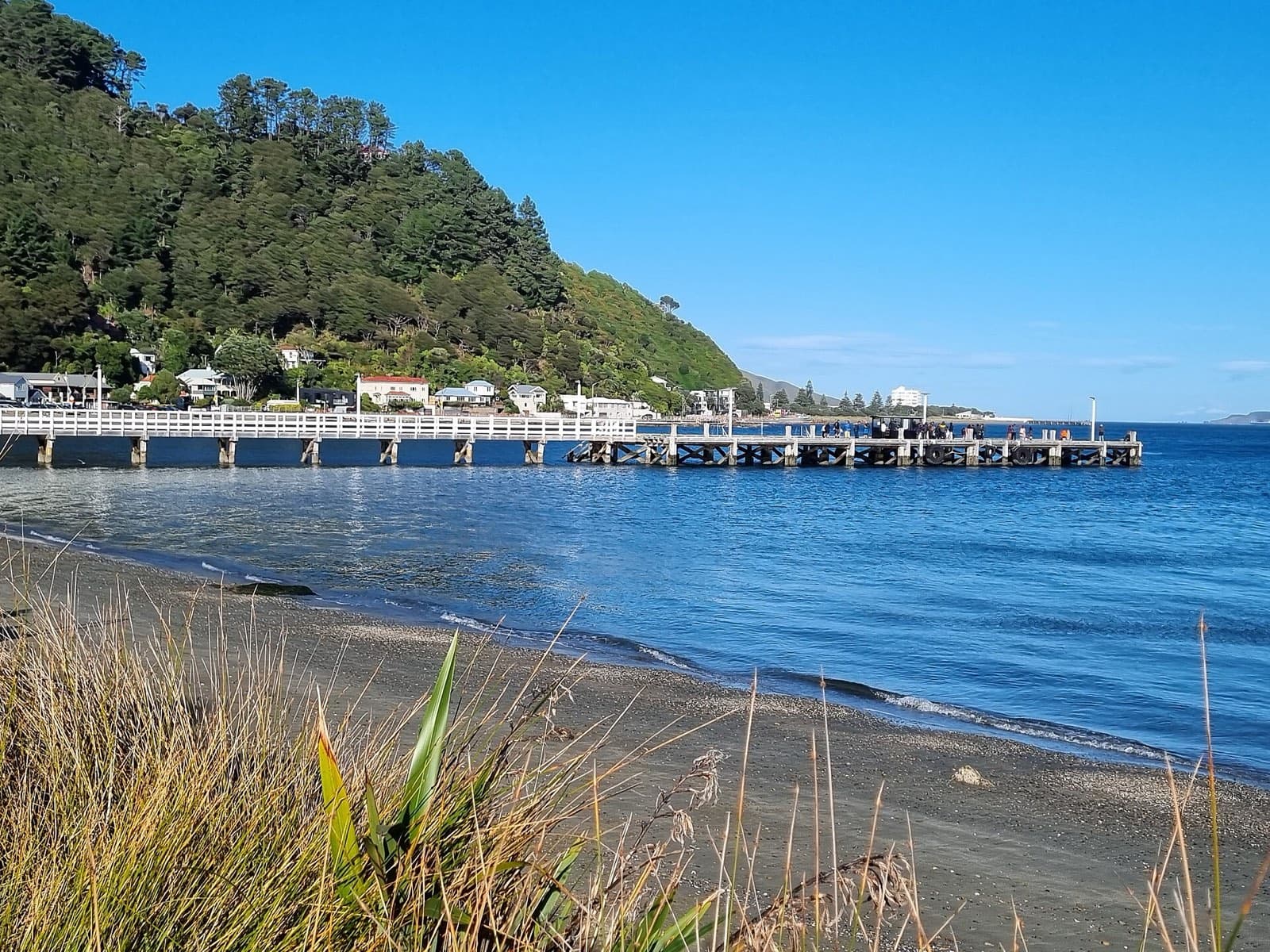 The historic wharf at Days Bay, Eastbourne, seen from the beach in July 2023