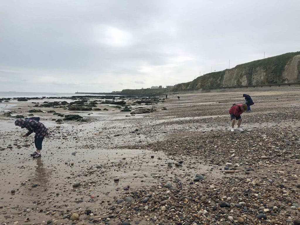 Collectors working the tide line head-down