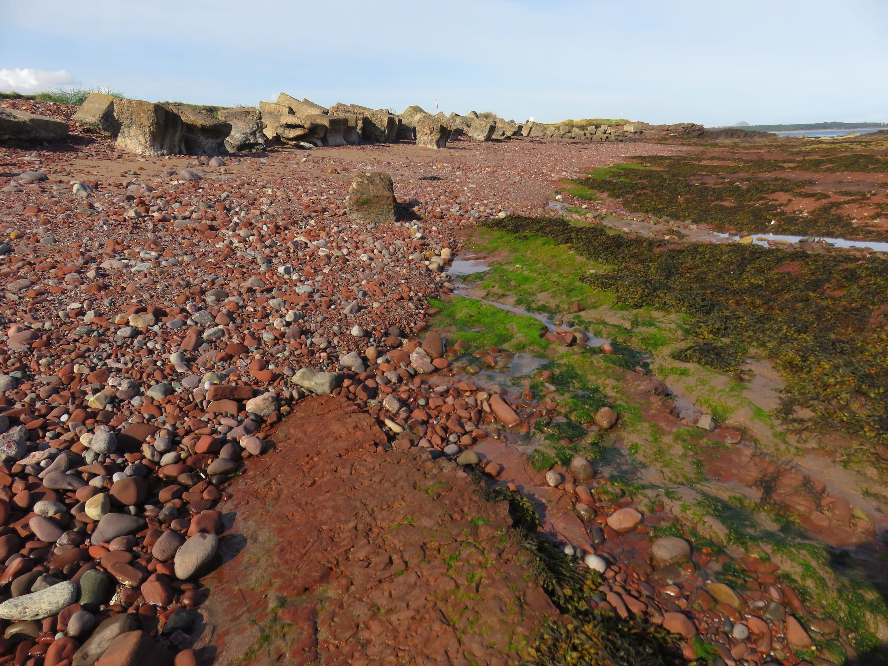 Sea glass from Beaches along Dunbar coastal trail, United Kingdom (2)