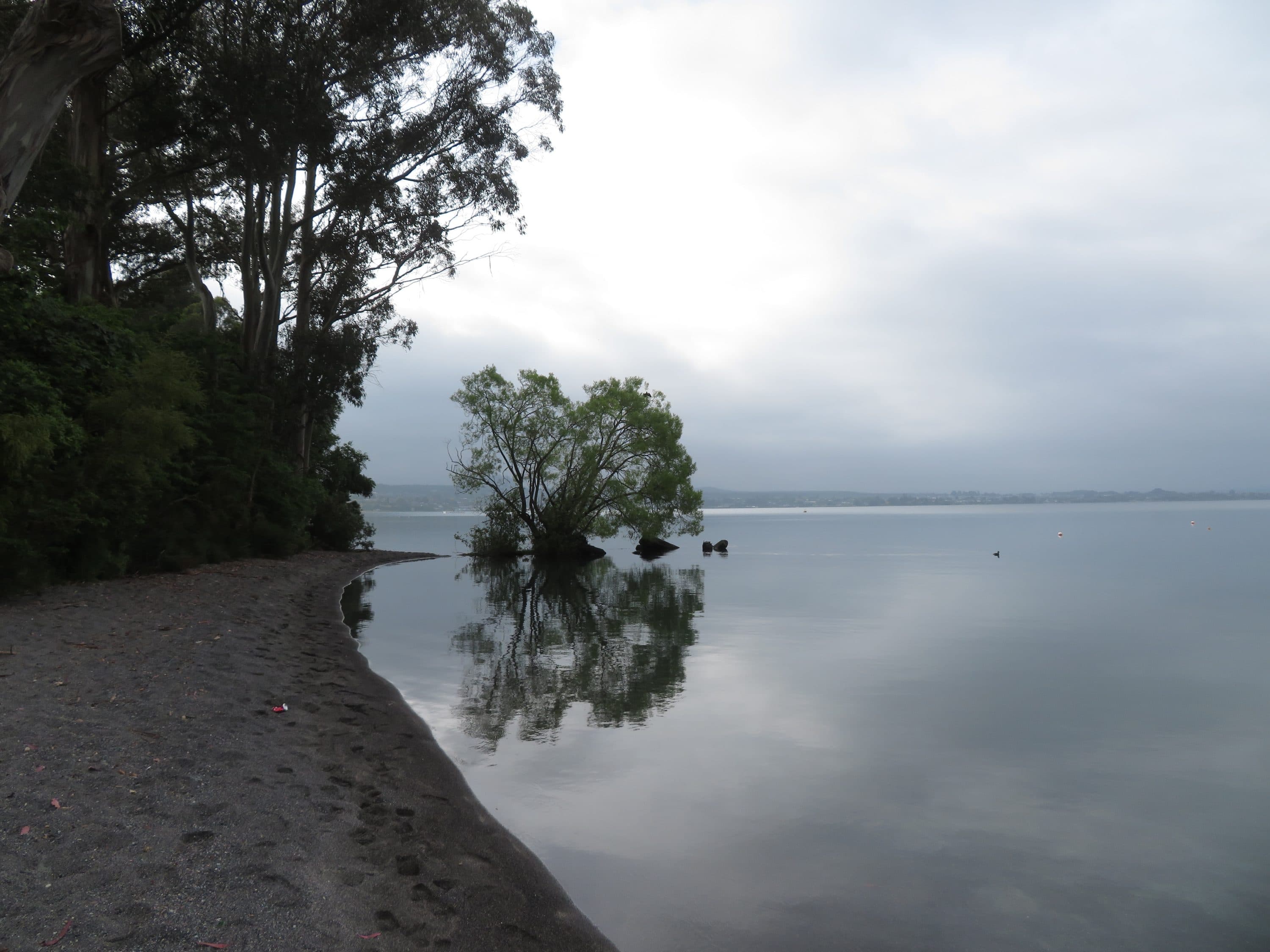 Sea glass from Taupō beach, New Zealand (2)