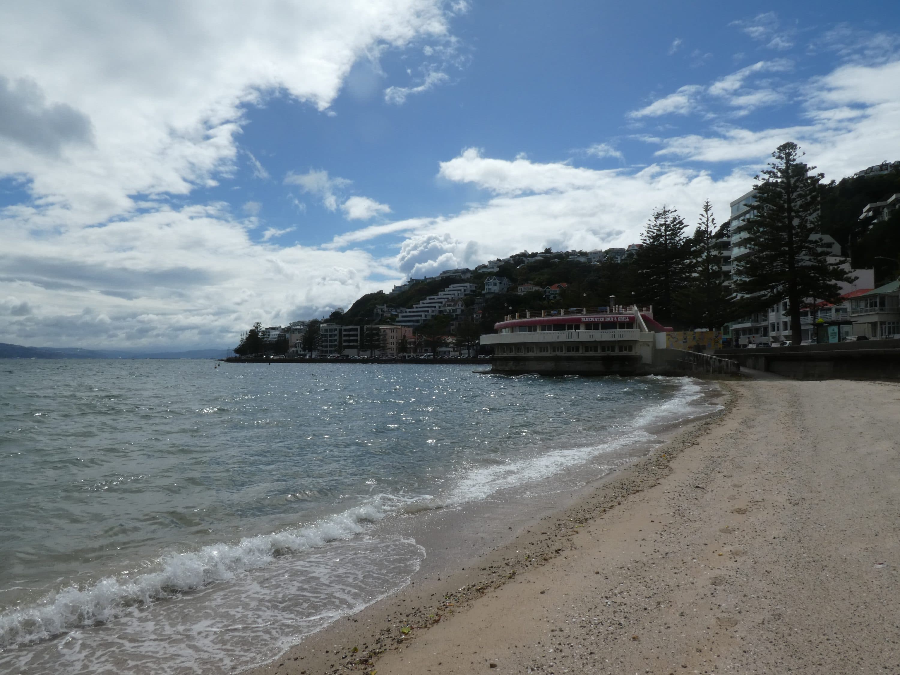 Sea glass collected at Oriental Bay, Wellington, New Zealand