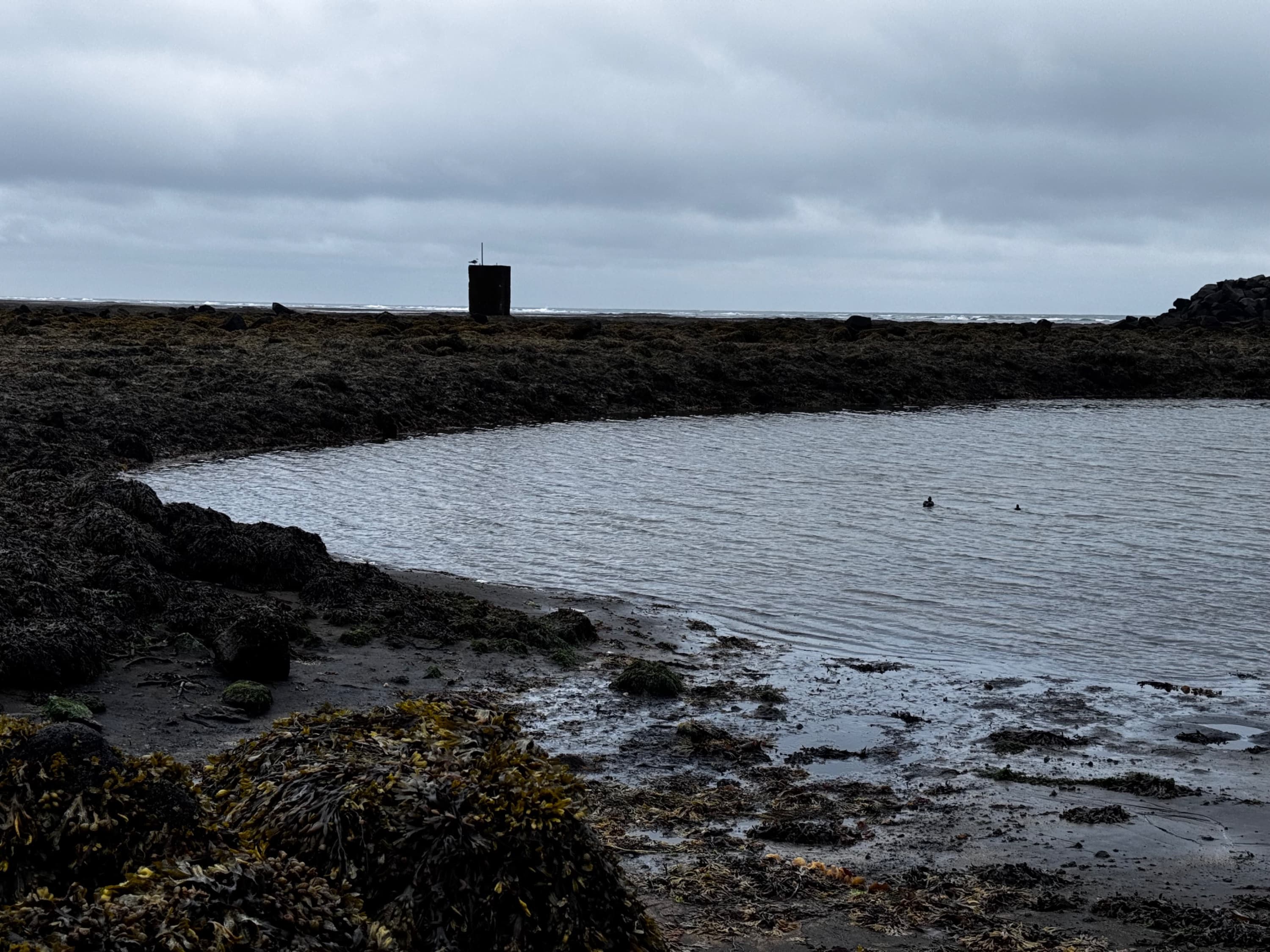 Sea glass from Eyrarbakki Beach, Iceland (4)
