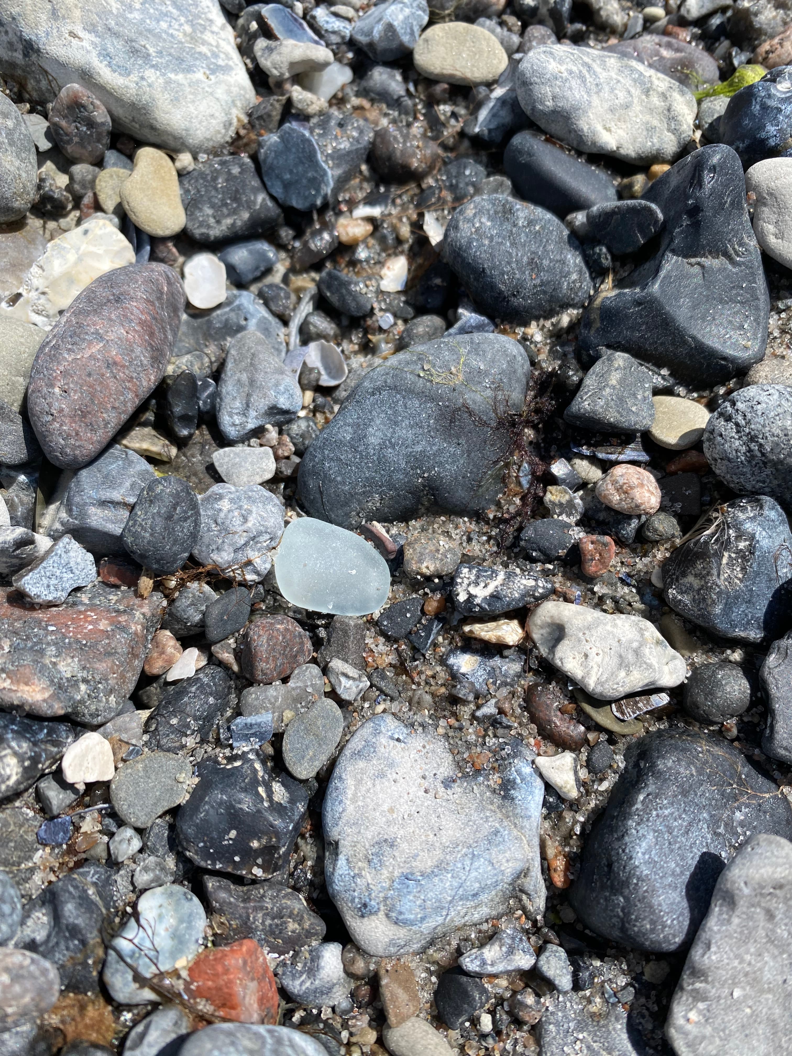Sea glass from Pålsjö strand, Sweden (3)