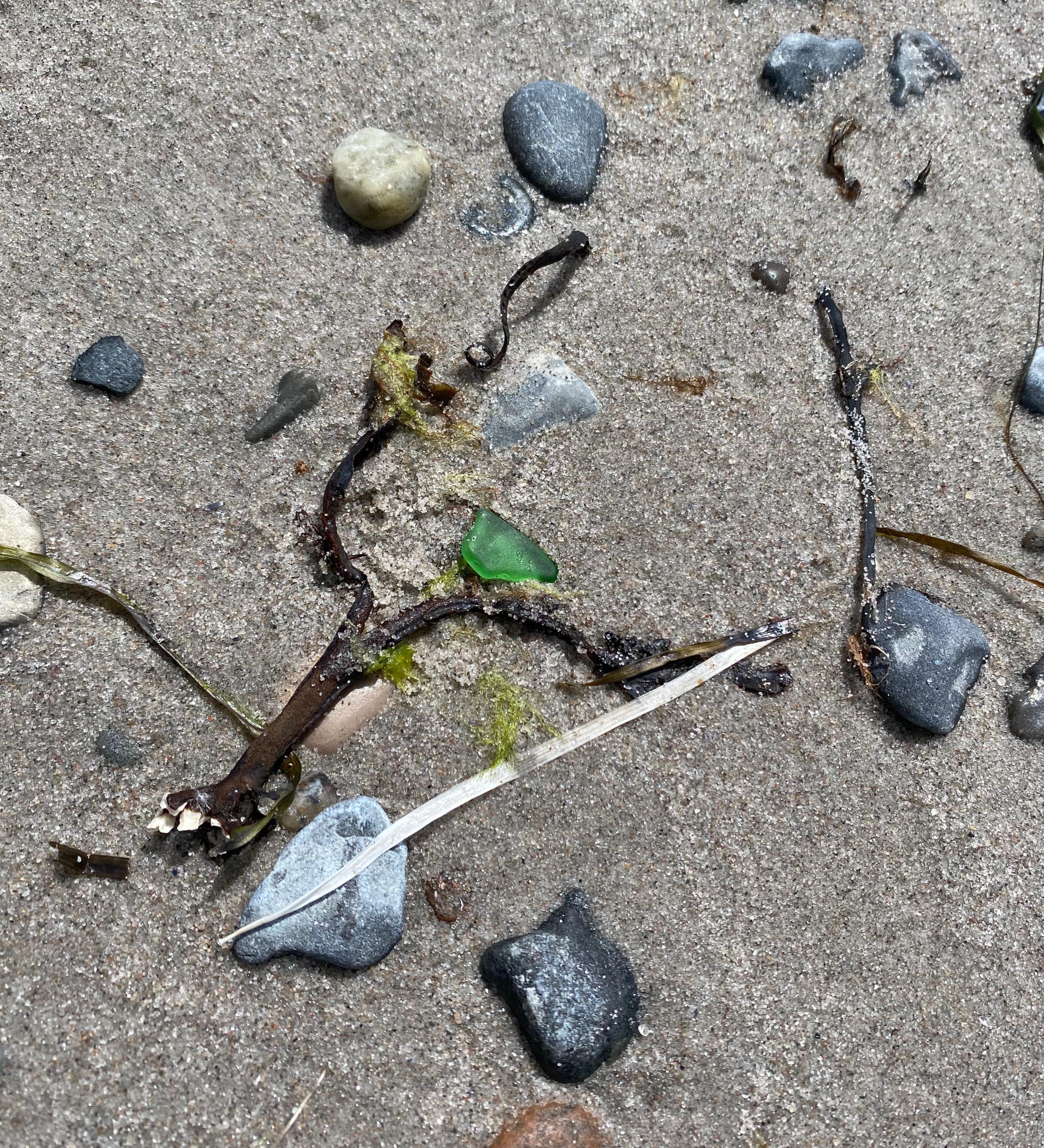 Sea glass from Pålsjö strand, Sweden (4)