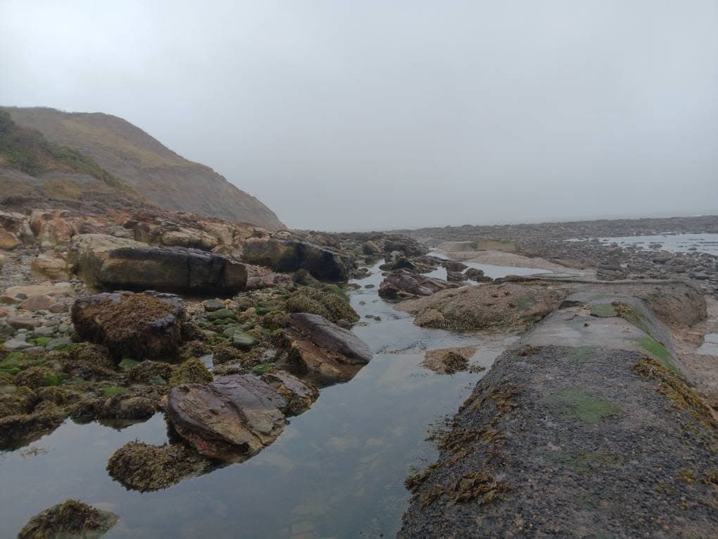Sea glass from near the scalby mills pub, United Kingdom (2)