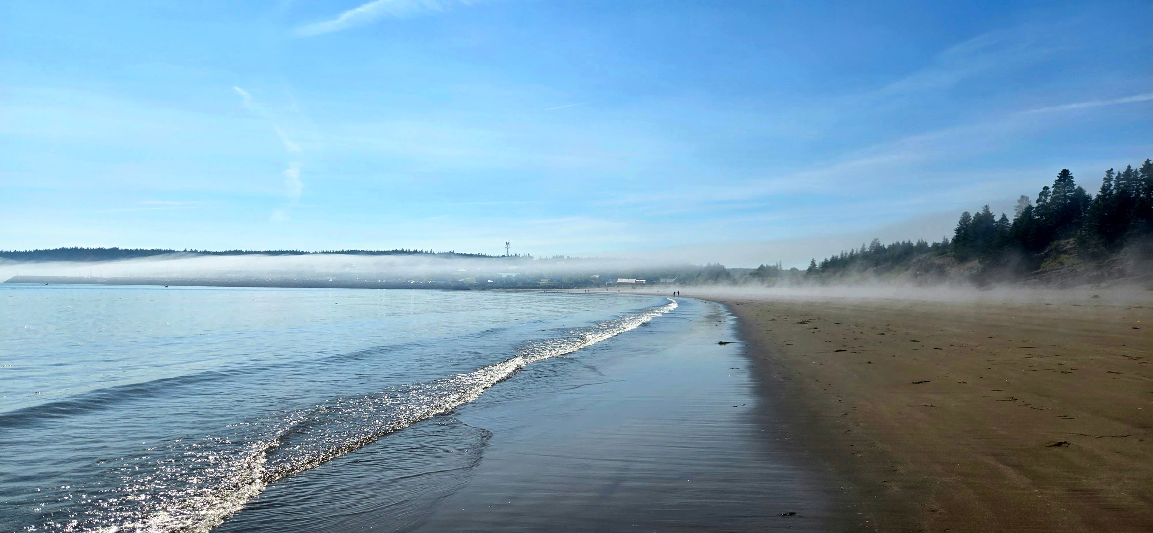 Sea glass collected at Seal Cove Sand Beach, Canada