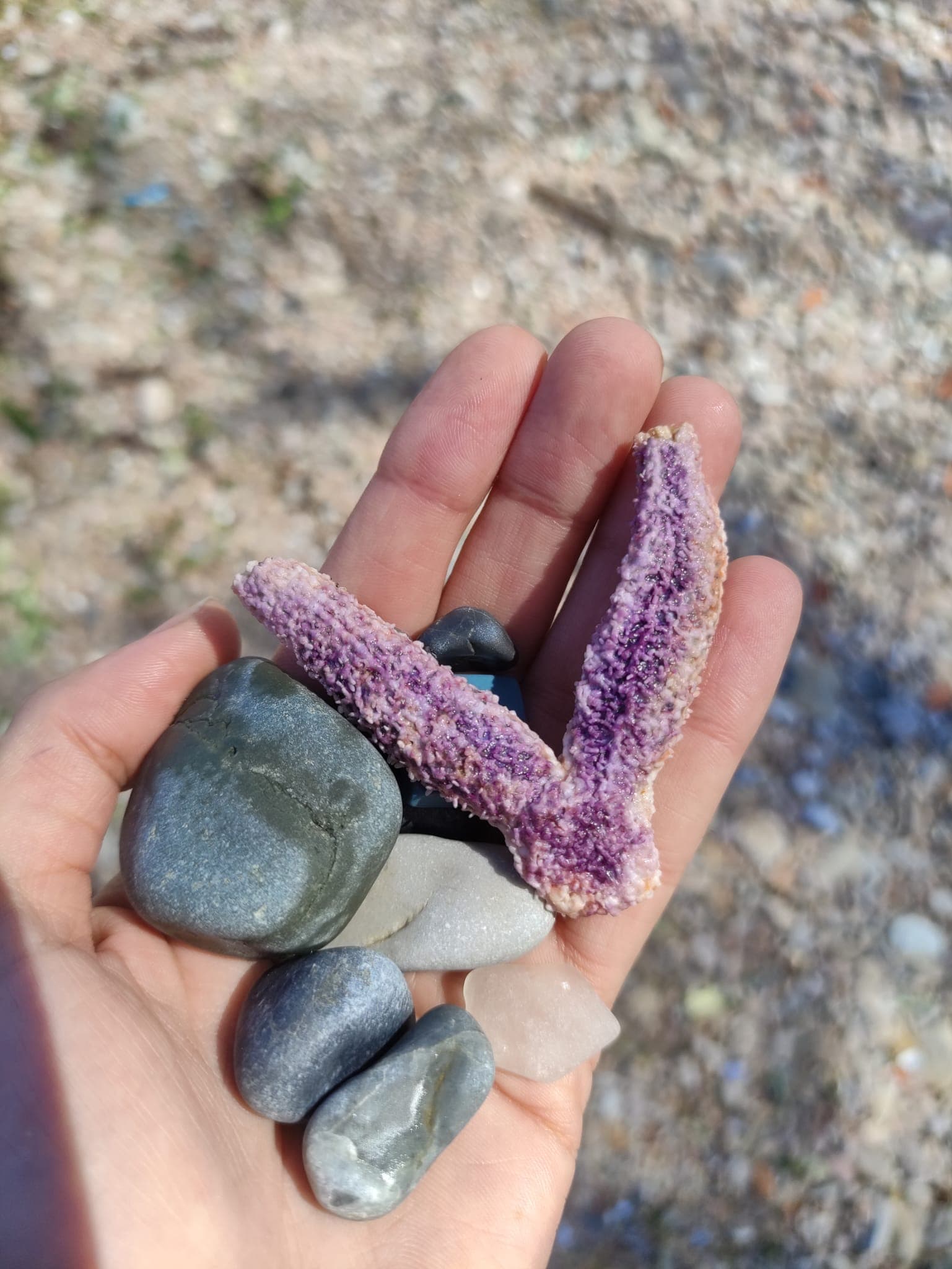 Sea glass from Camakya Aile beach, Türkiye (2)