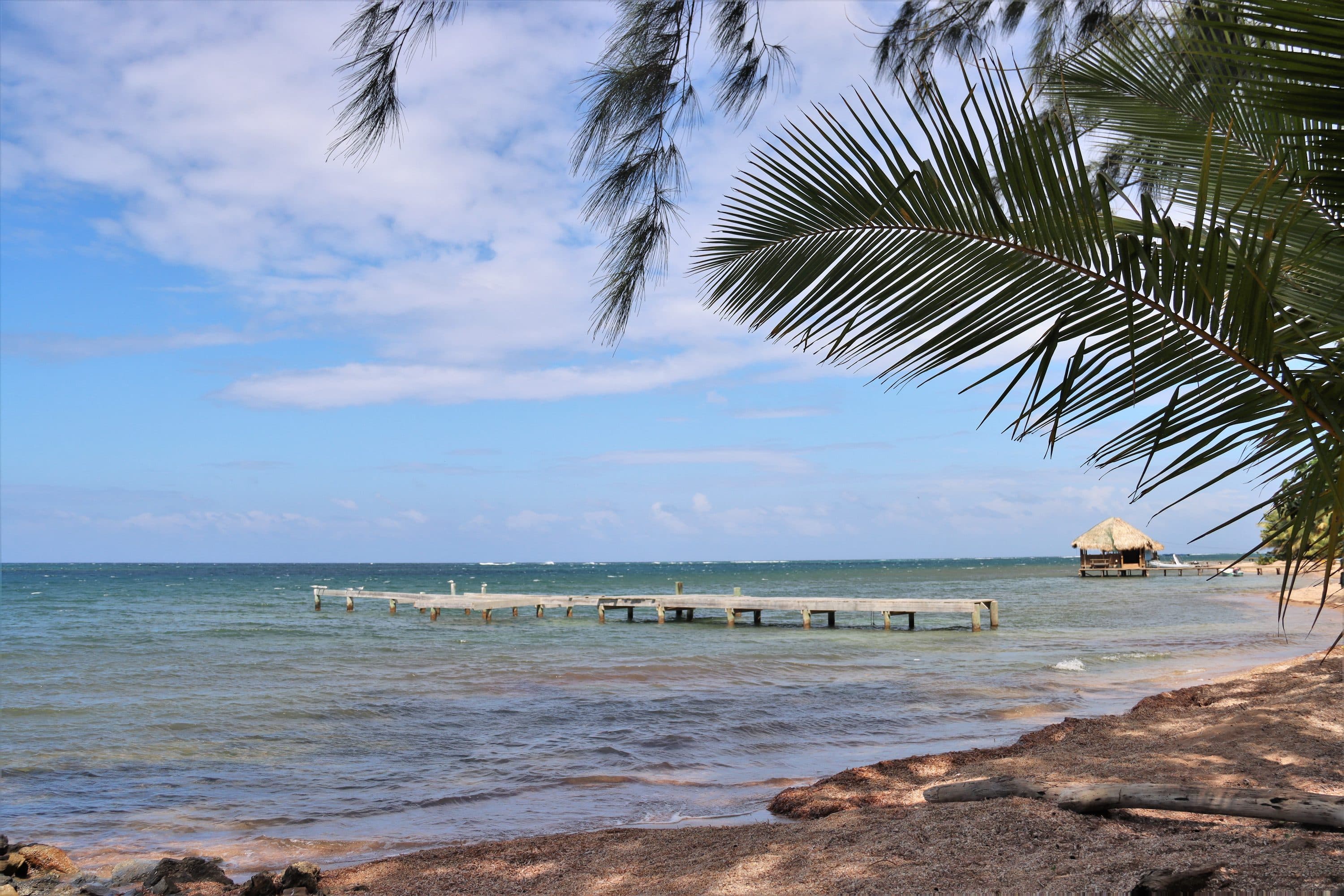 Sea glass from Camp Bay, Honduras (3)