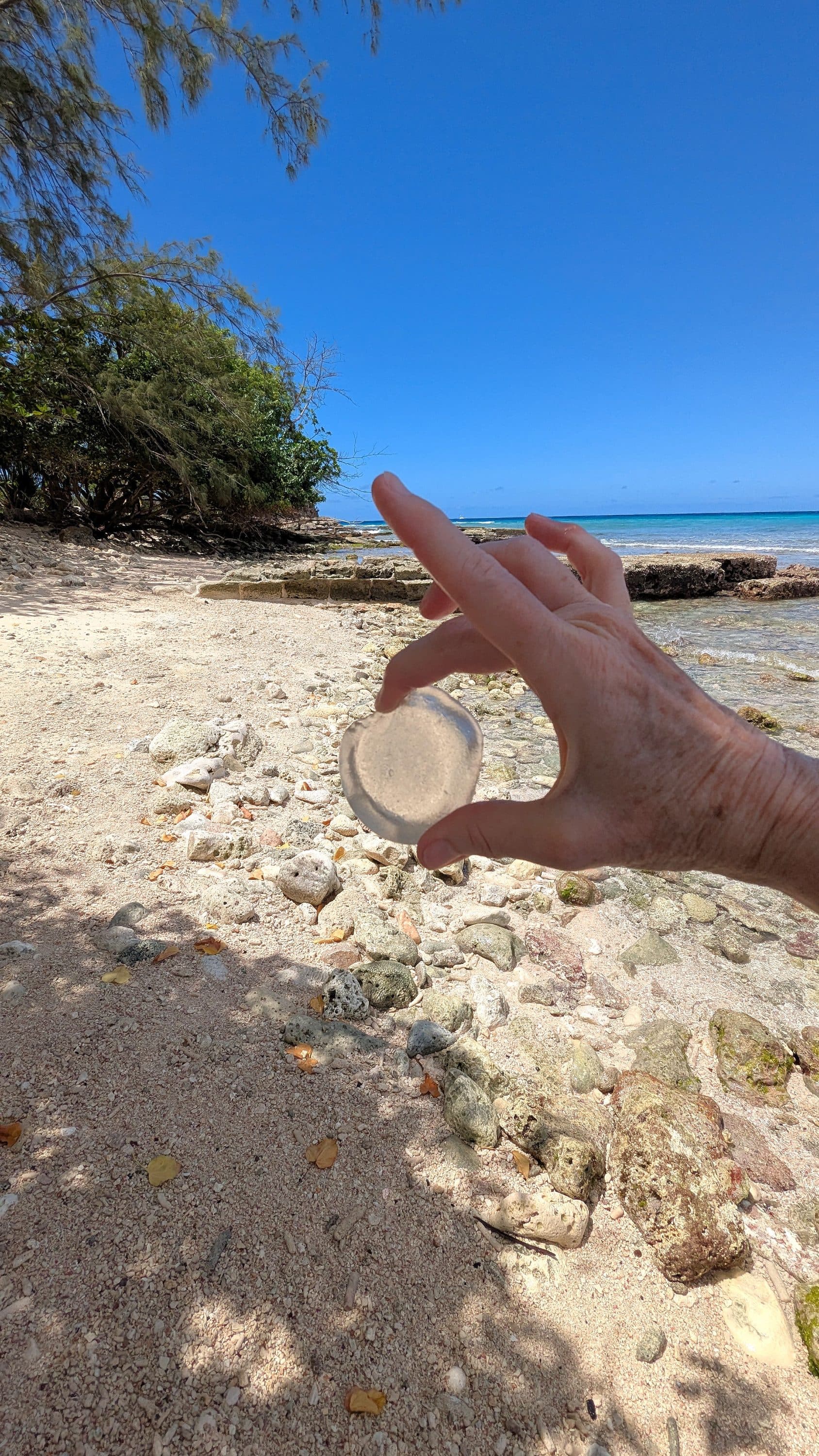 Sea glass collected at Pebbles Beach, Barbados, Barbados