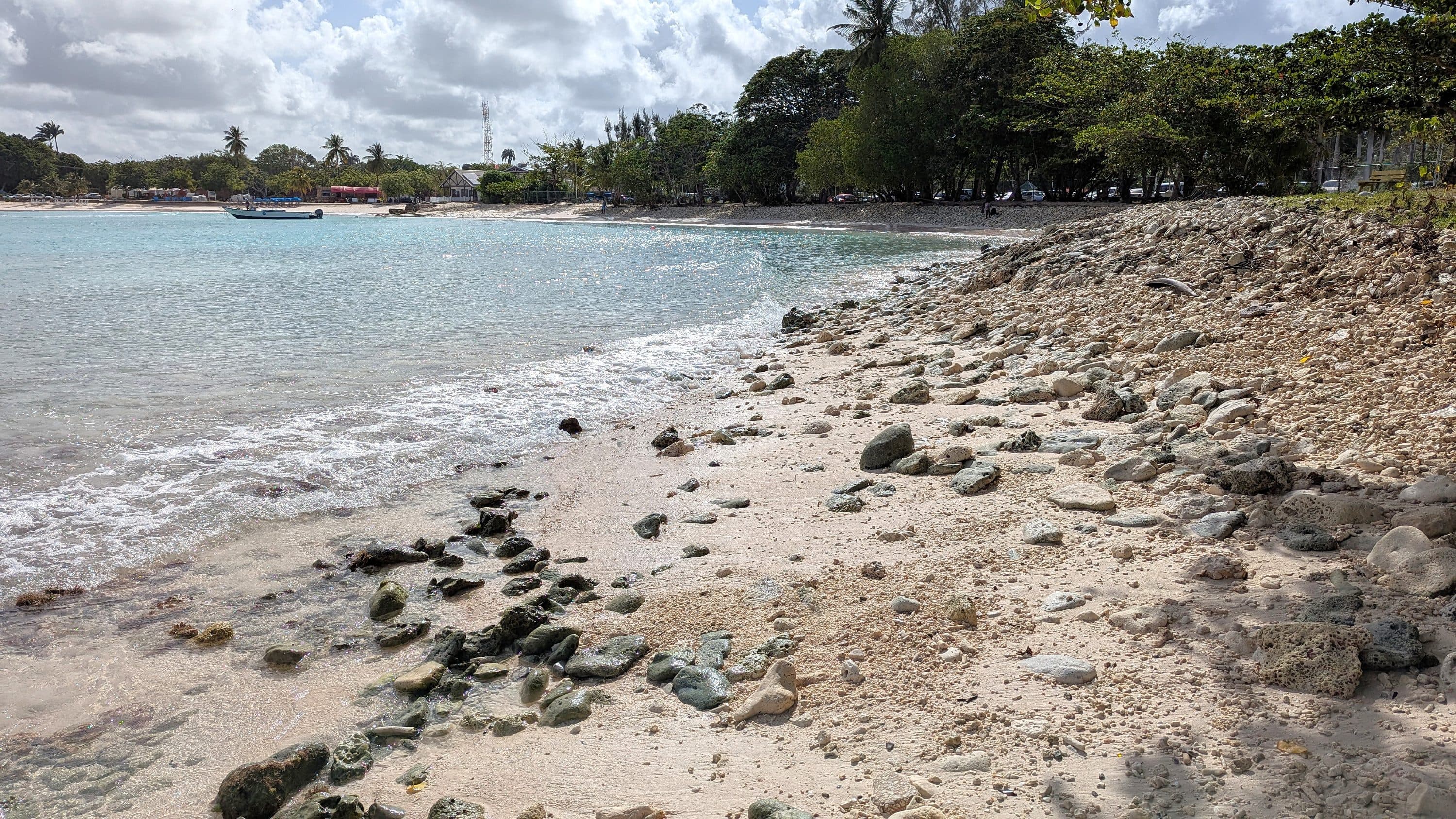 Sea glass from Pebbles Beach, Barbados, Barbados (4)