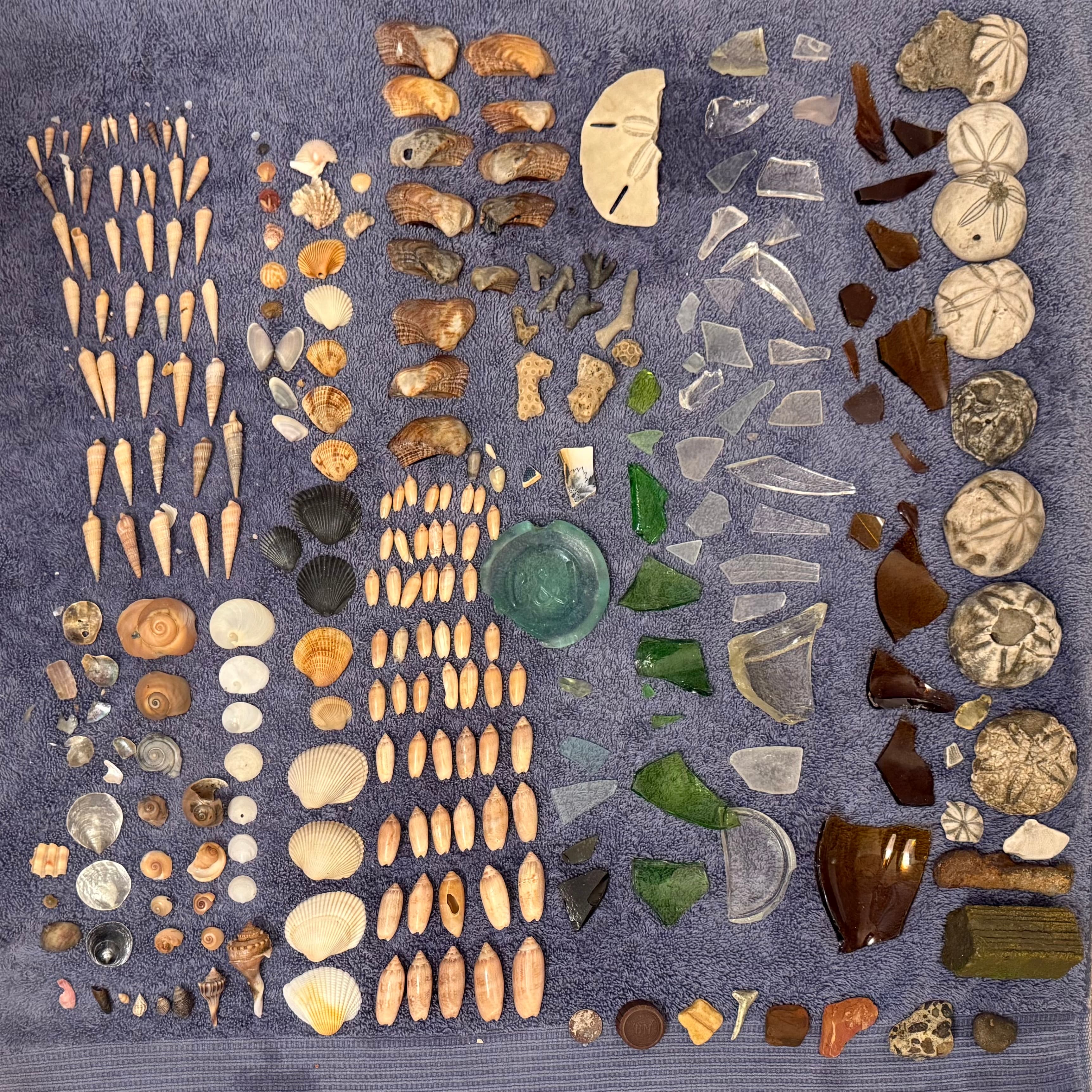 Sea glass from Waterfront Park, Southport NC, United States (2)