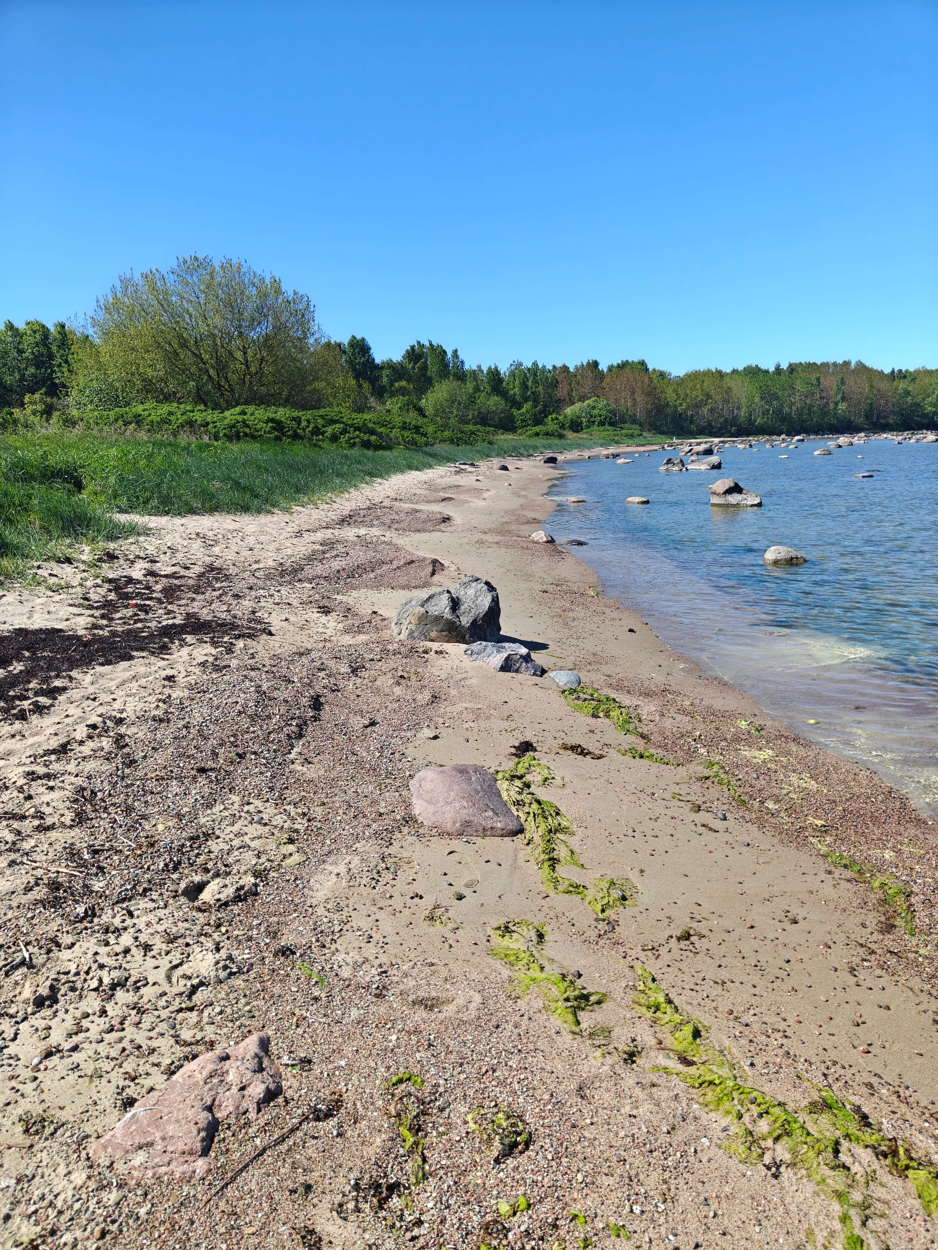 Sea glass found at Paljassaare rand, Estonia