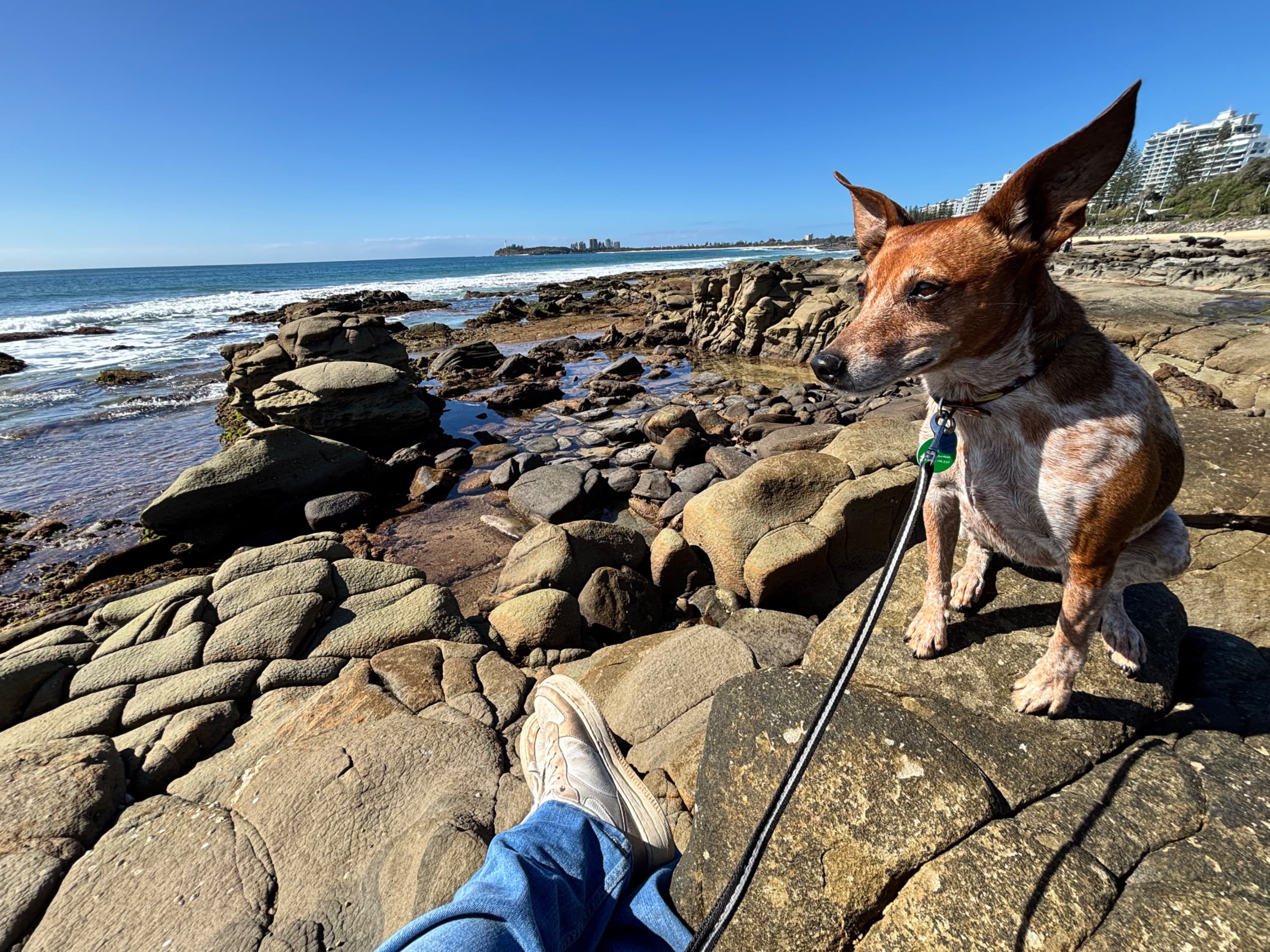 Sea glass collected at Mooloolaba rocks, Australia
