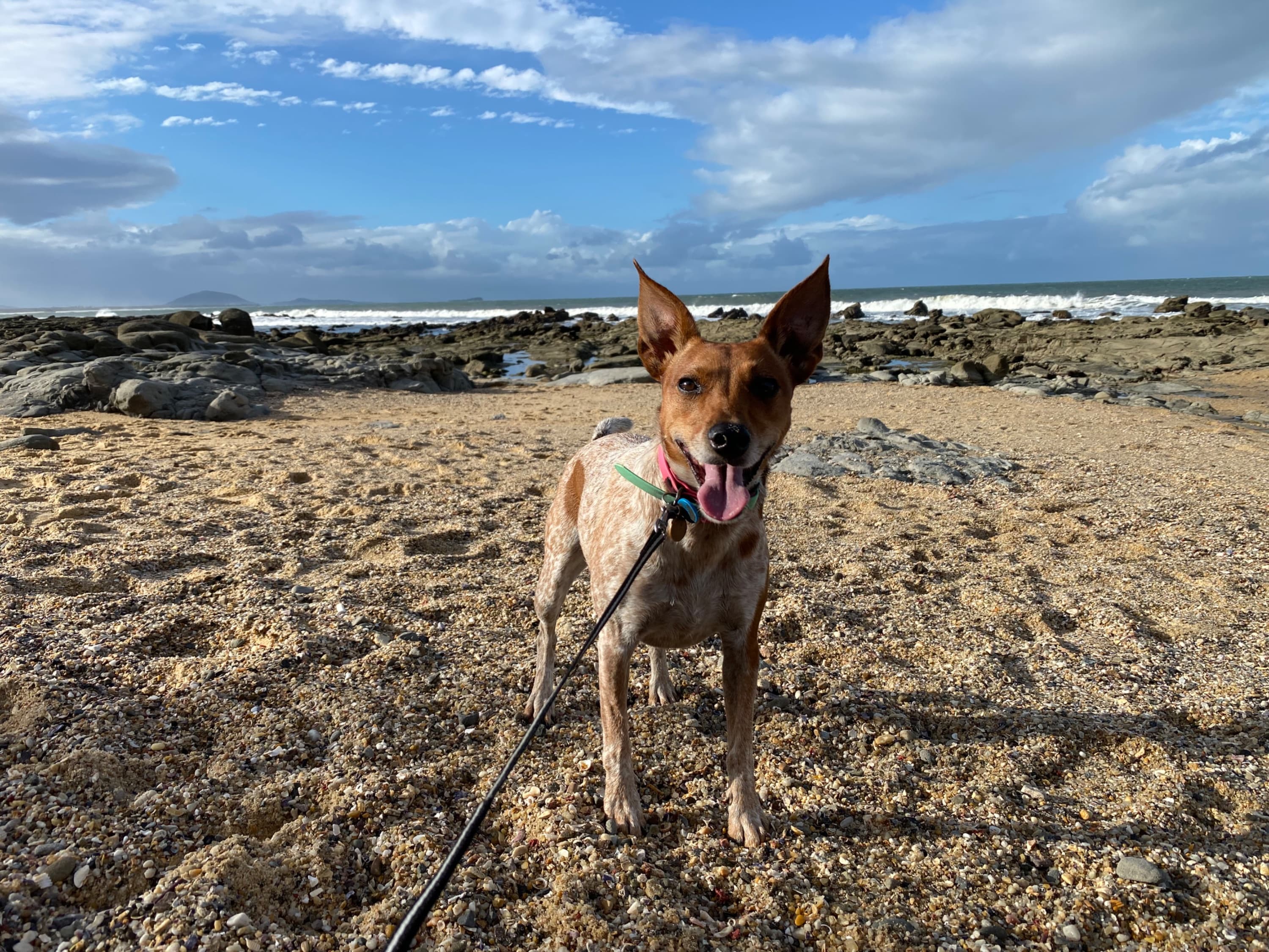 Sea glass from Mooloolaba rocks, Australia (4)