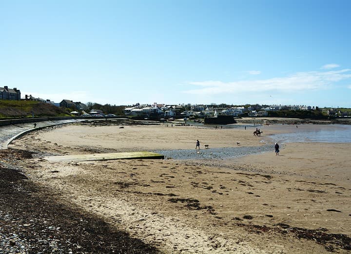 Sea glass collected at Traeth Bach, Cemaes Bay, United Kingdom