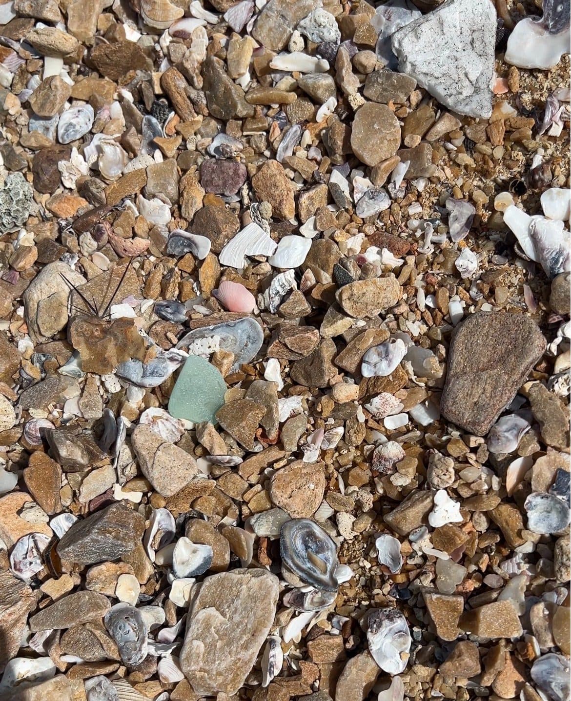 Sea glass from Khao Laem Chabang – North Beach, Thailand (3)