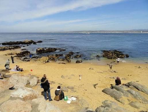 Sea glass found at Sand City Beach, Monterey Bay