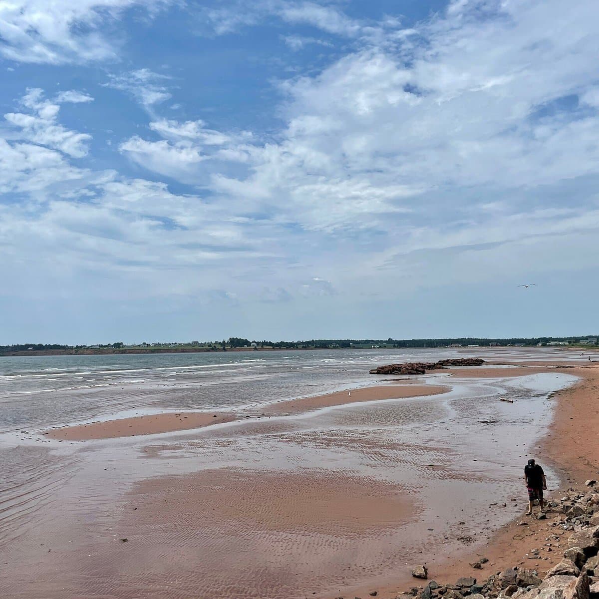 Sea glass collected at Souris Beach, PEI, Canada