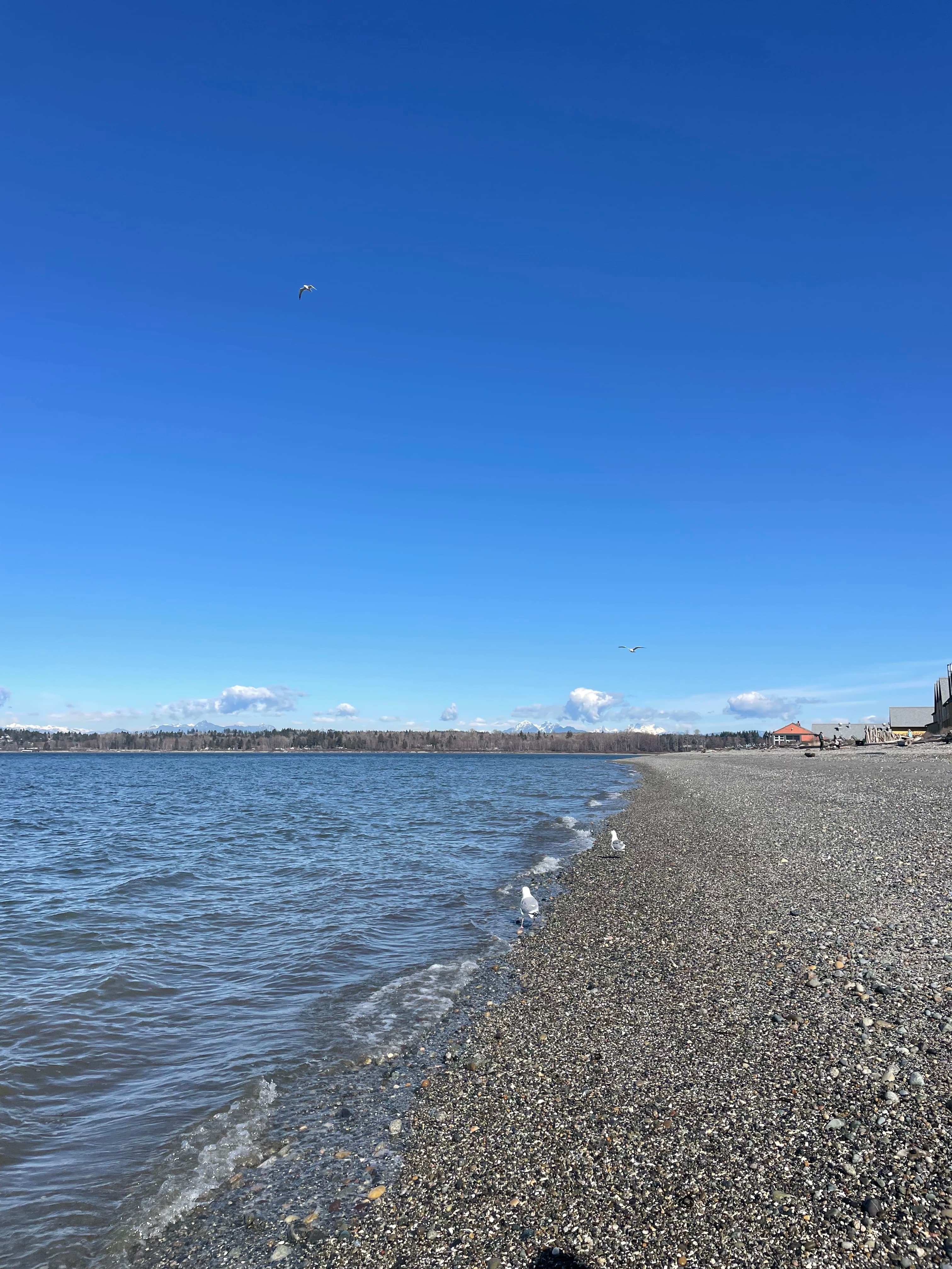 Sea glass from Semiahmoo Spit - behind the resort, United States (2)