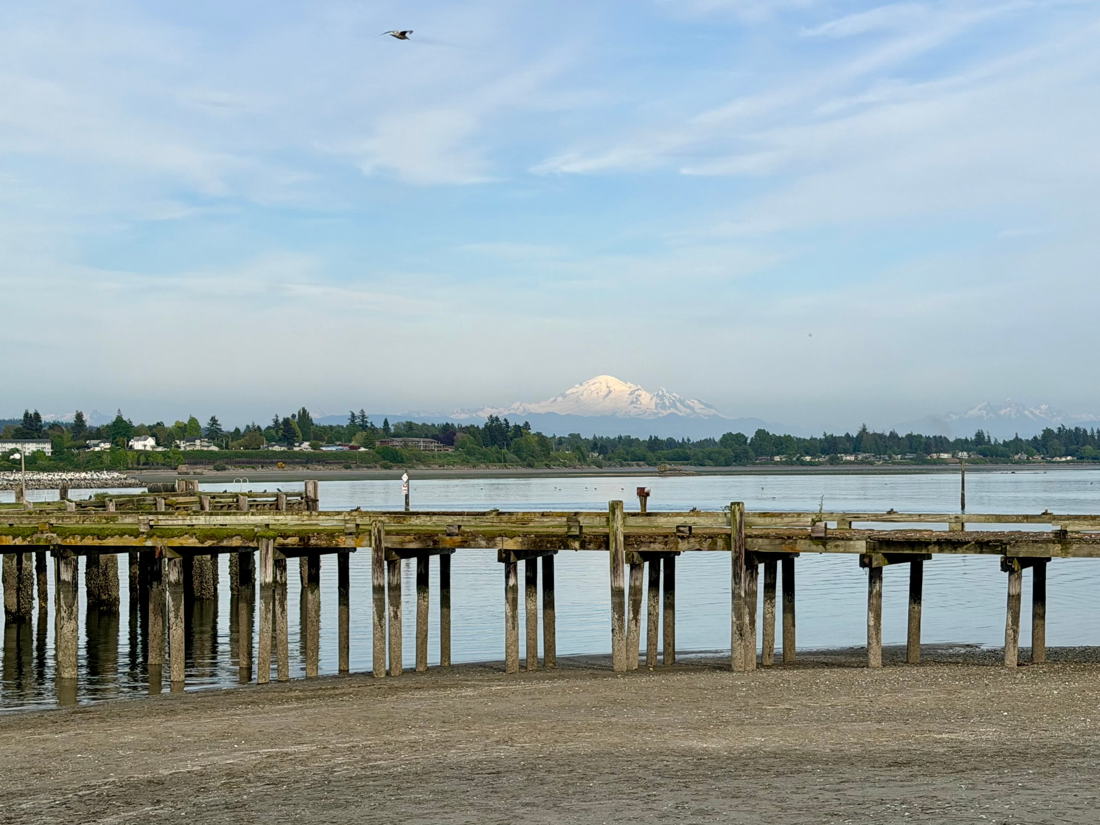 Sea glass from Semiahmoo Spit - behind the resort, United States (3)