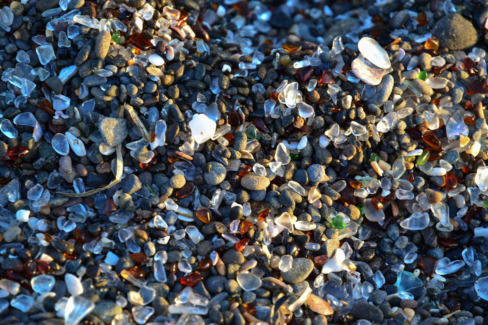 Frosted glass catching golden evening light among the pebbles at Fort Bragg