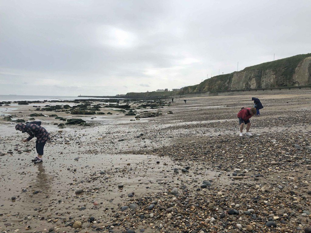 Collectors working the tide line head-down